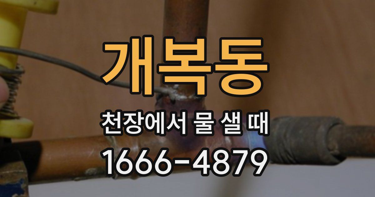 개복동 천장에서 물 샐 때
