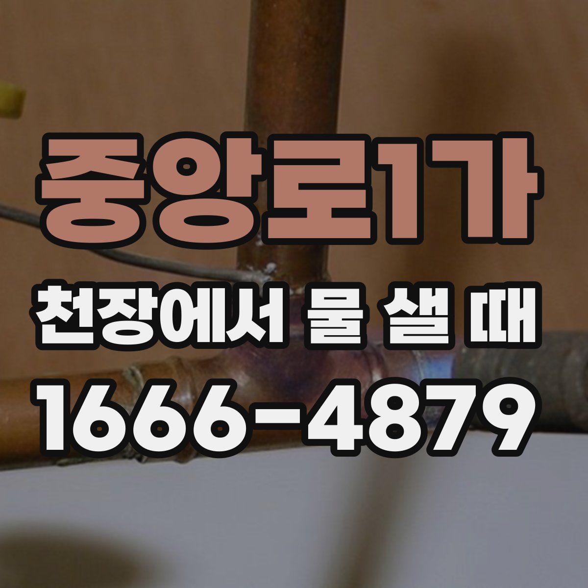 중앙로1가 천장에서 물 샐 때