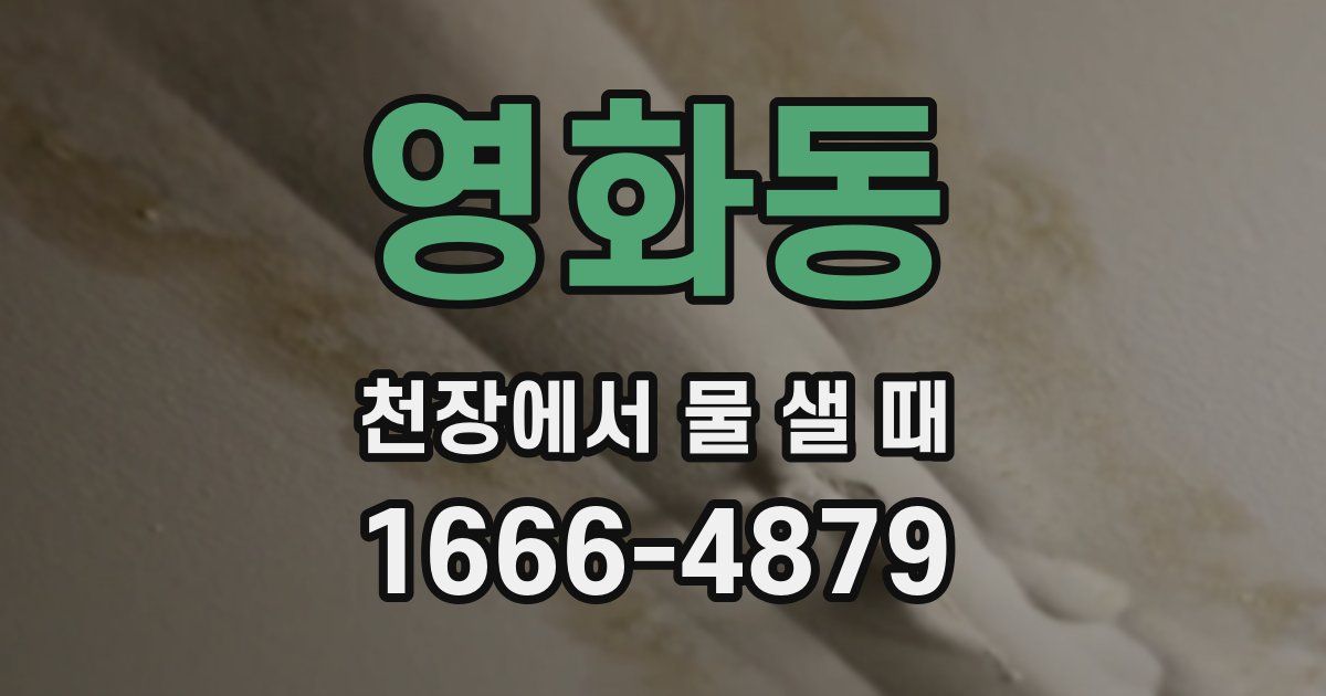 영화동 천장에서 물 샐 때