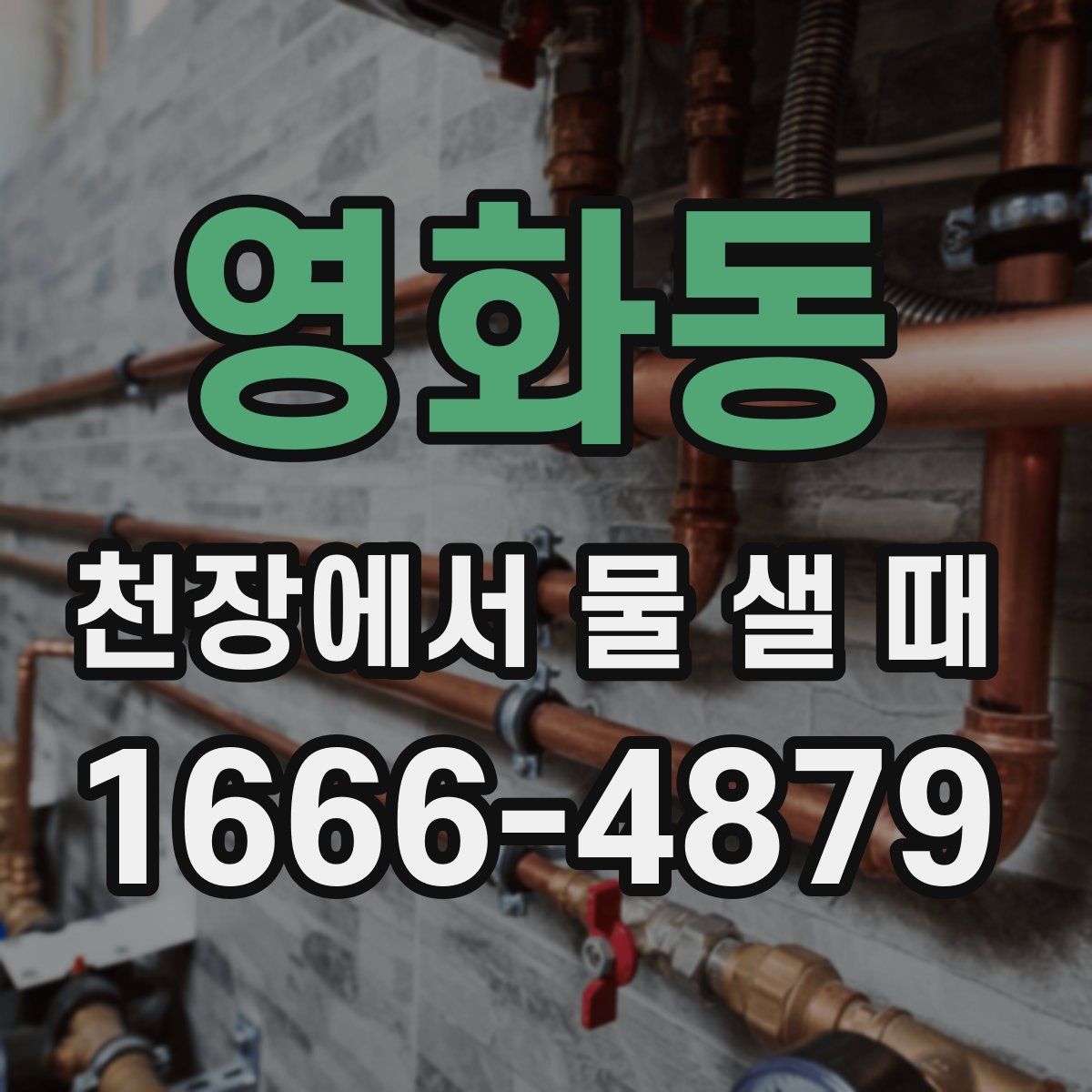 영화동 천장에서 물 샐 때