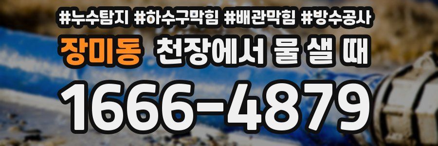 장미동 천장에서 물 샐 때