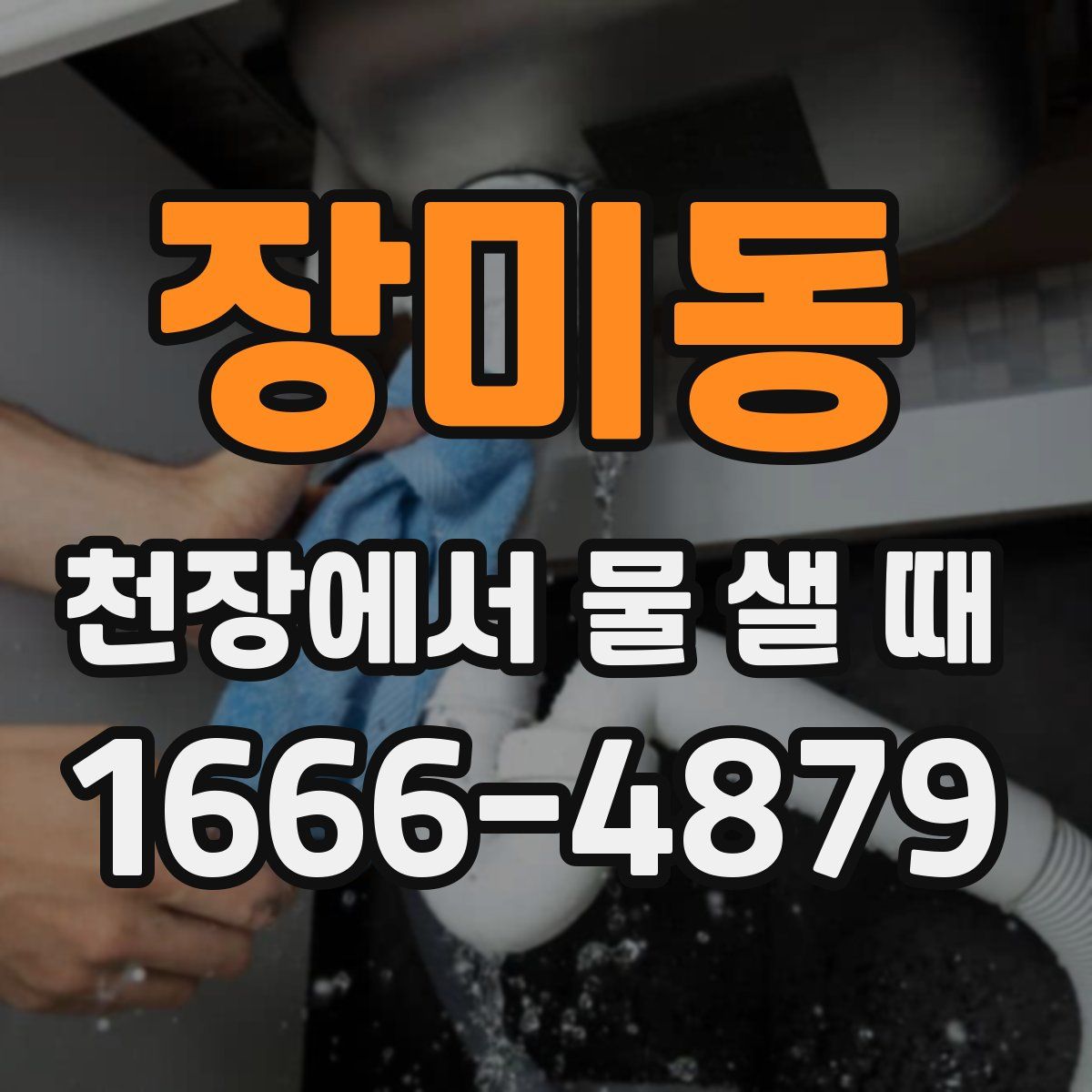 장미동 천장에서 물 샐 때