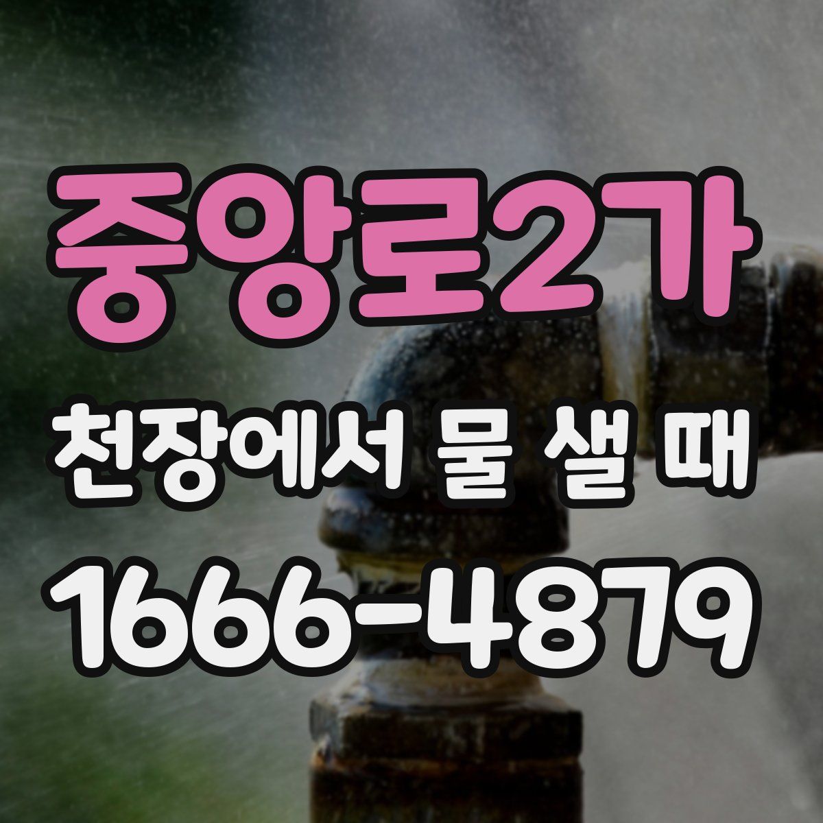 중앙로2가 천장에서 물 샐 때