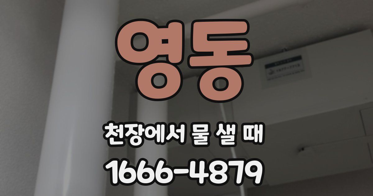 영동 천장에서 물 샐 때