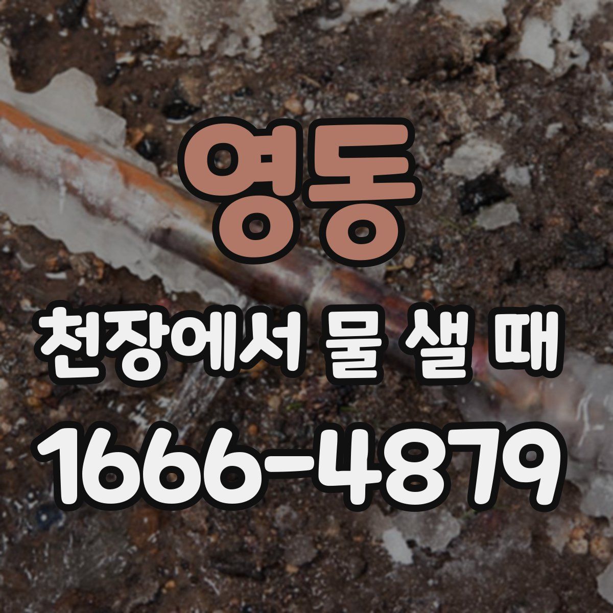 영동 천장에서 물 샐 때