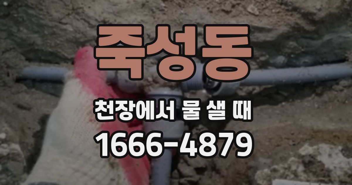 죽성동 천장에서 물 샐 때