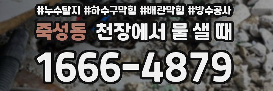 죽성동 천장에서 물 샐 때