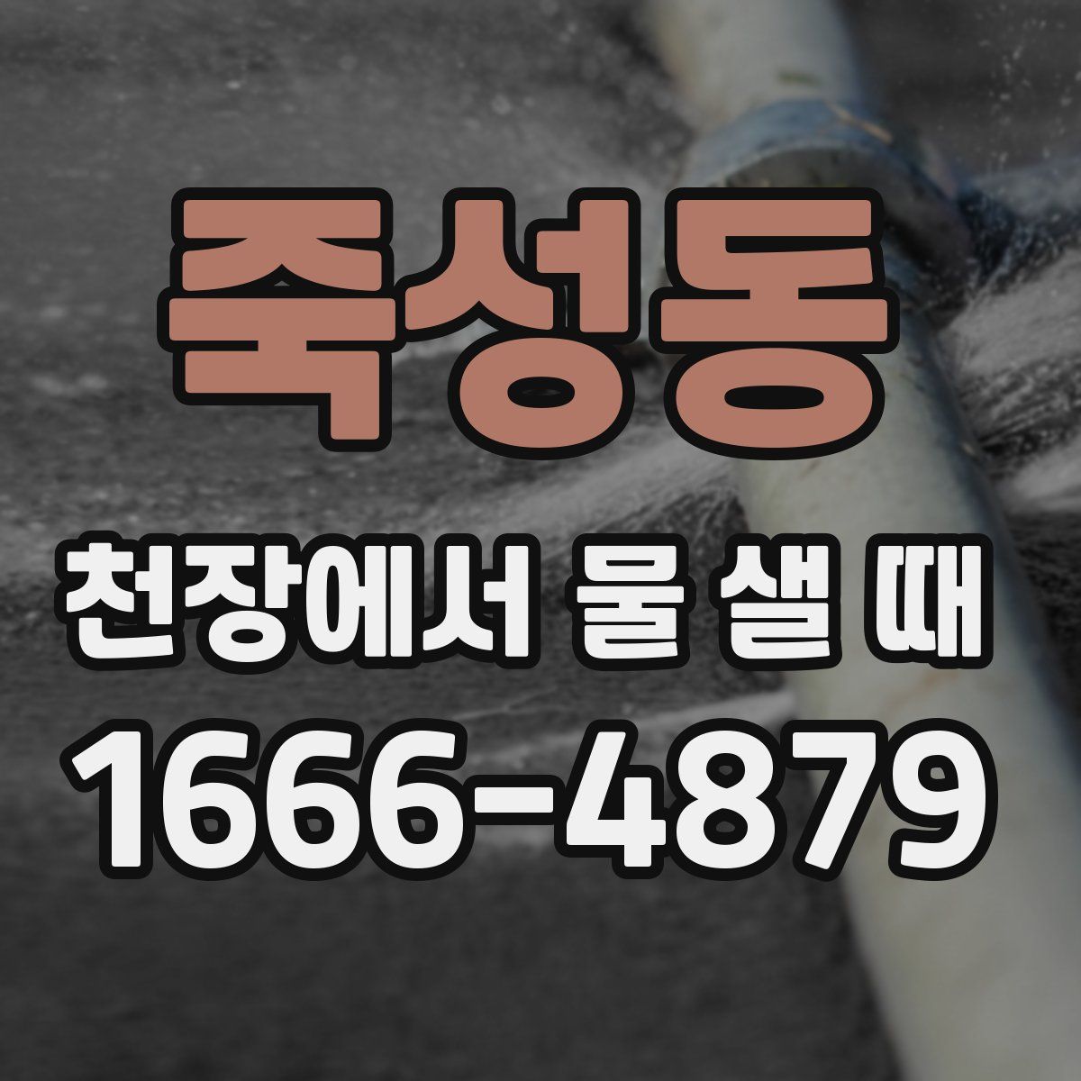 죽성동 천장에서 물 샐 때