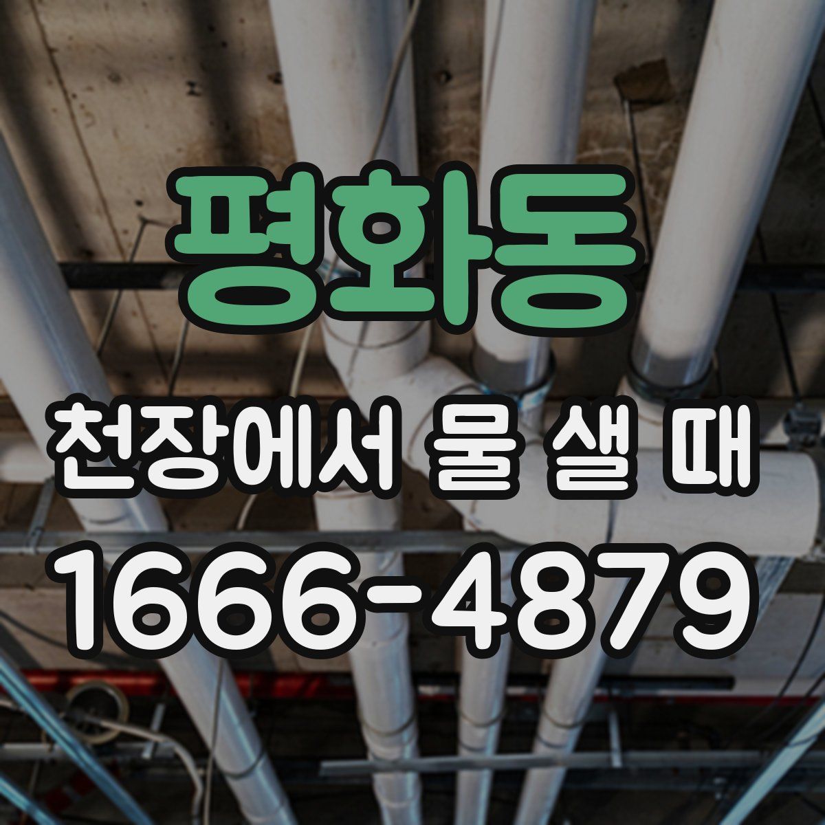 평화동 천장에서 물 샐 때