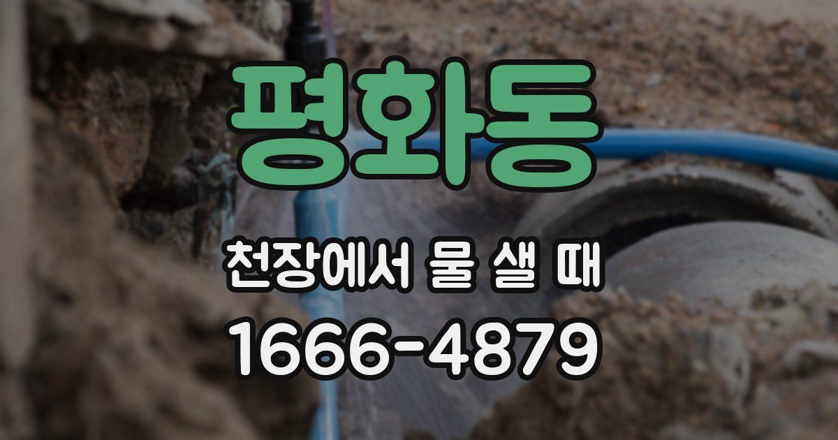 평화동 천장에서 물 샐 때