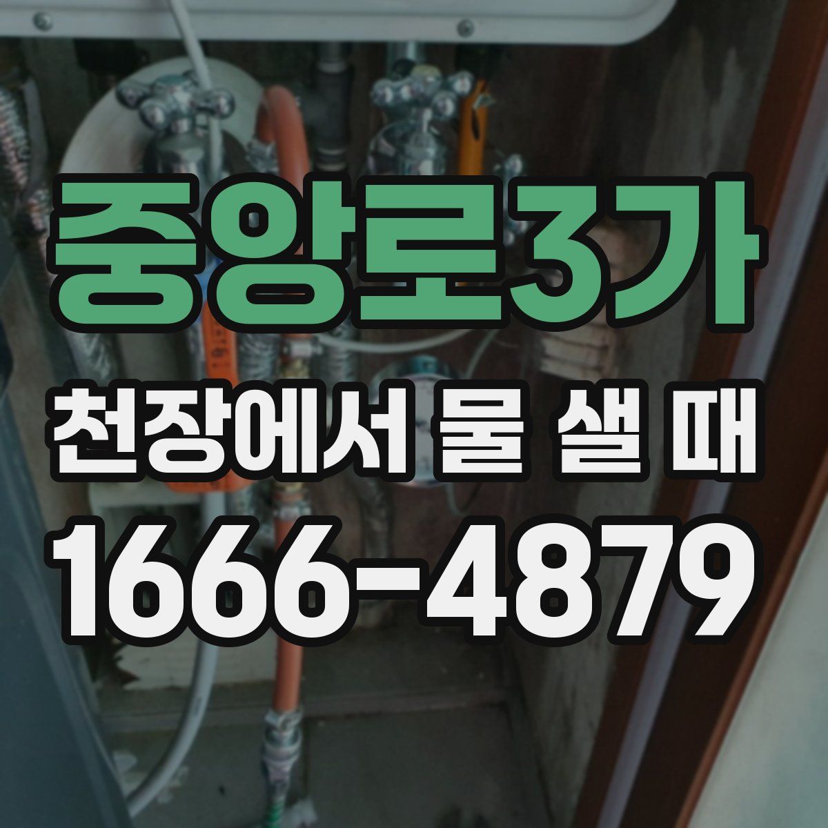 중앙로3가 천장에서 물 샐 때