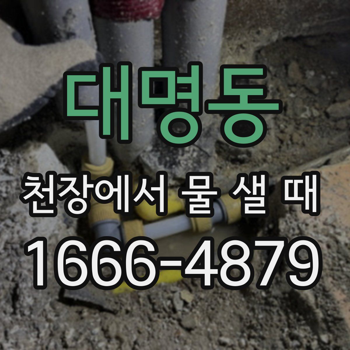 대명동 천장에서 물 샐 때
