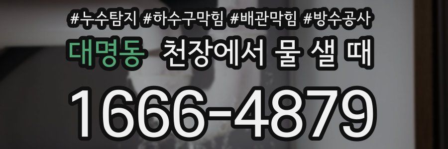 대명동 천장에서 물 샐 때