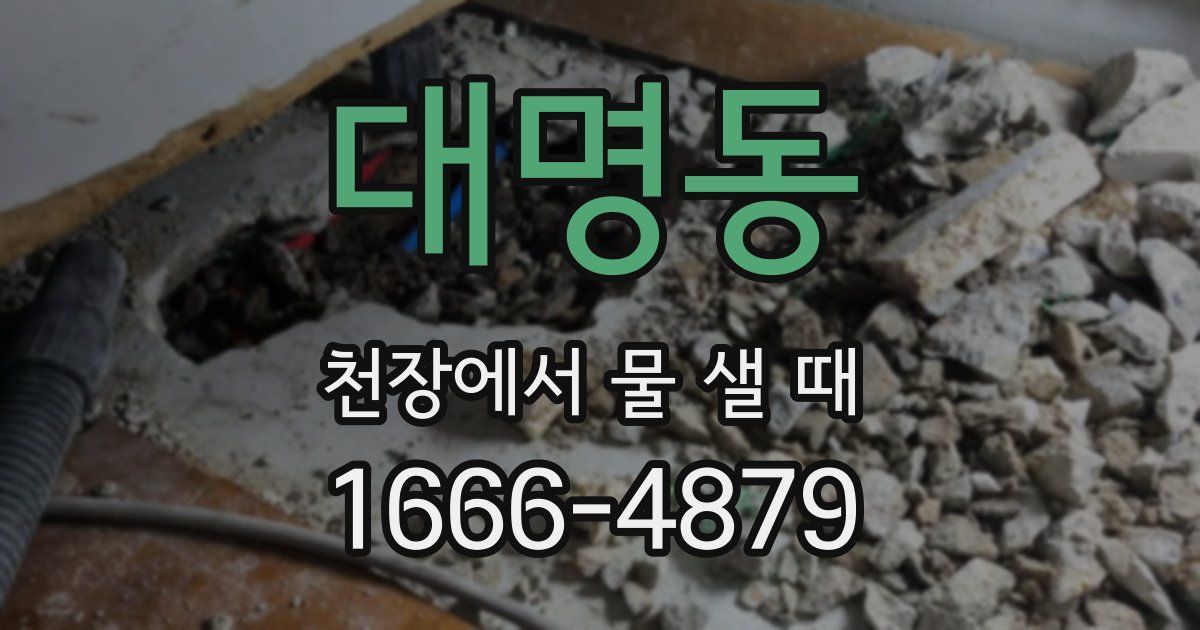 대명동 천장에서 물 샐 때