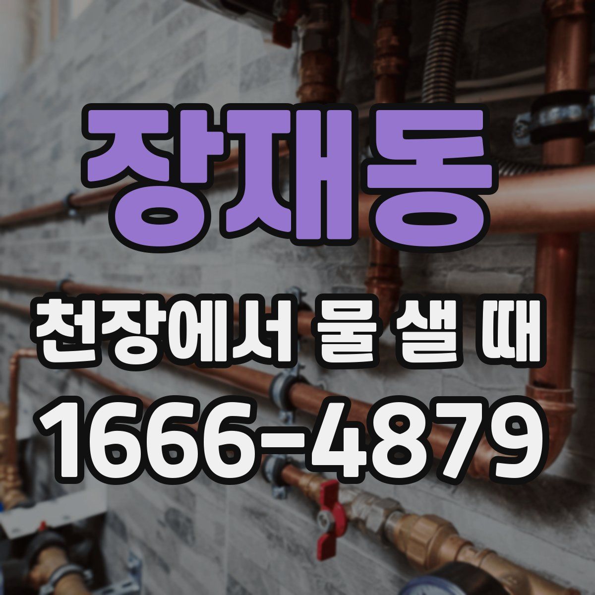 장재동 천장에서 물 샐 때