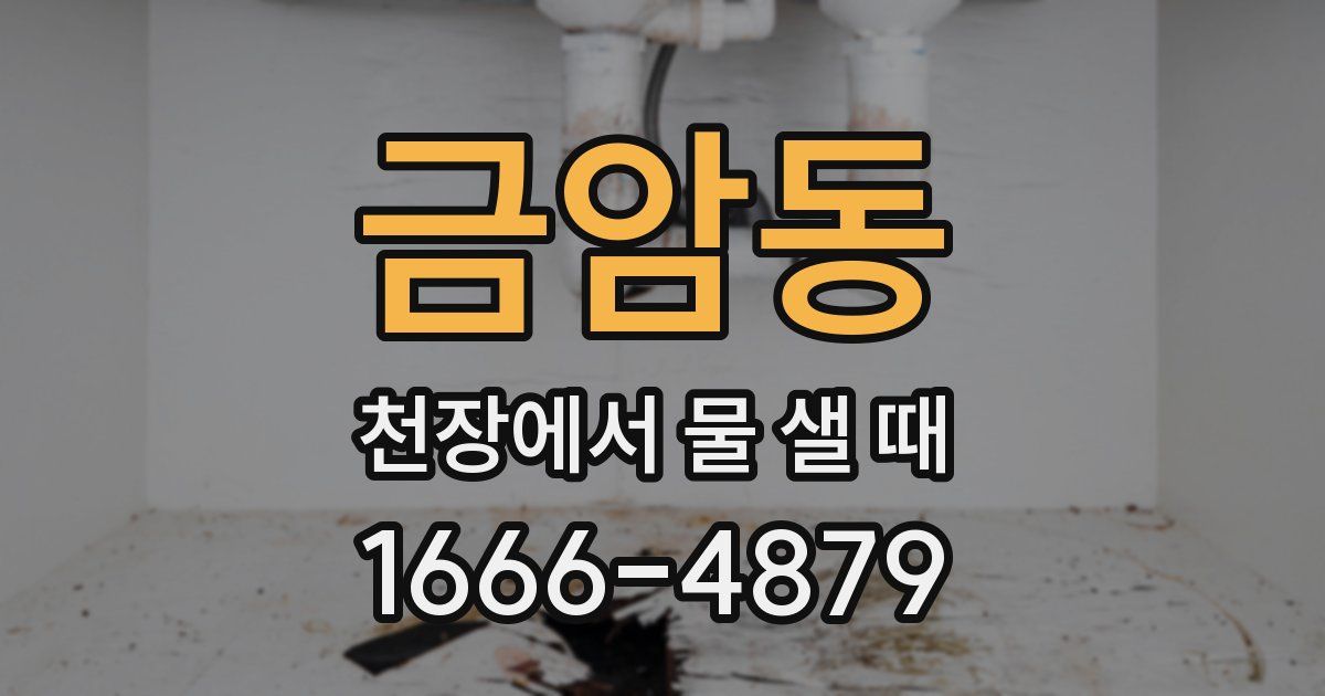 금암동 천장에서 물 샐 때