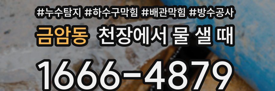 금암동 천장에서 물 샐 때