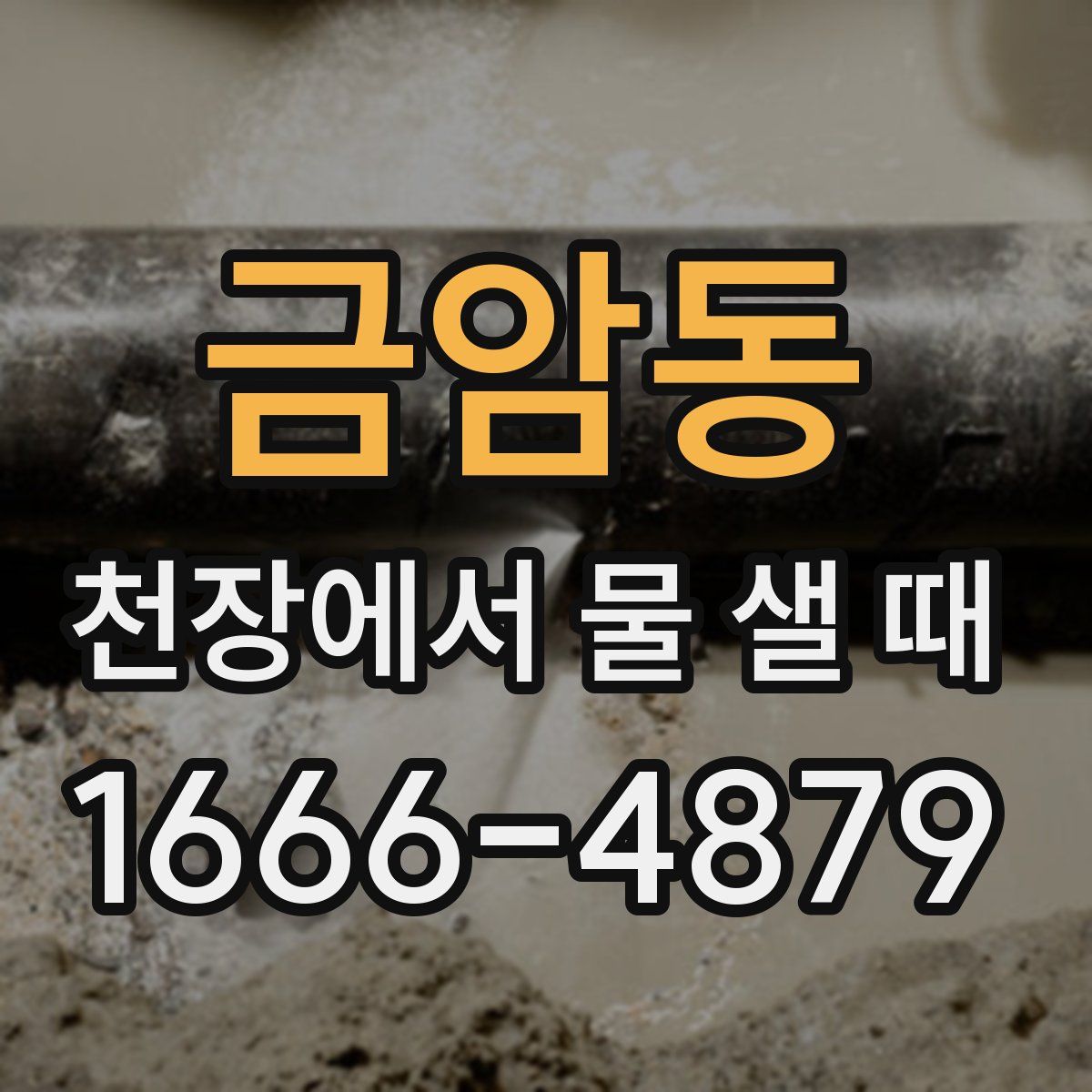 금암동 천장에서 물 샐 때