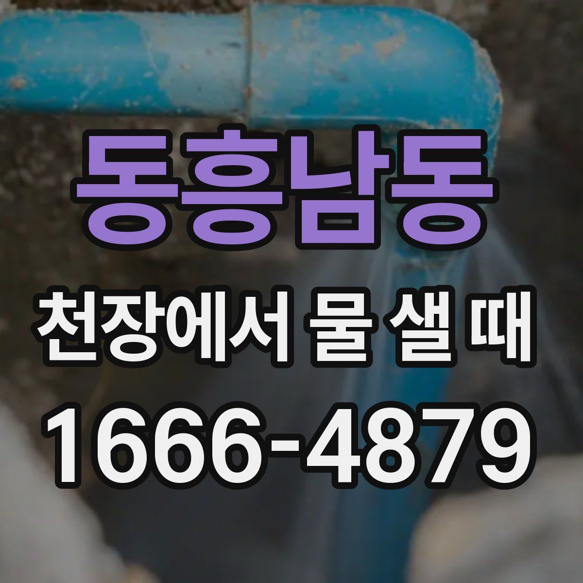 동흥남동 천장에서 물 샐 때