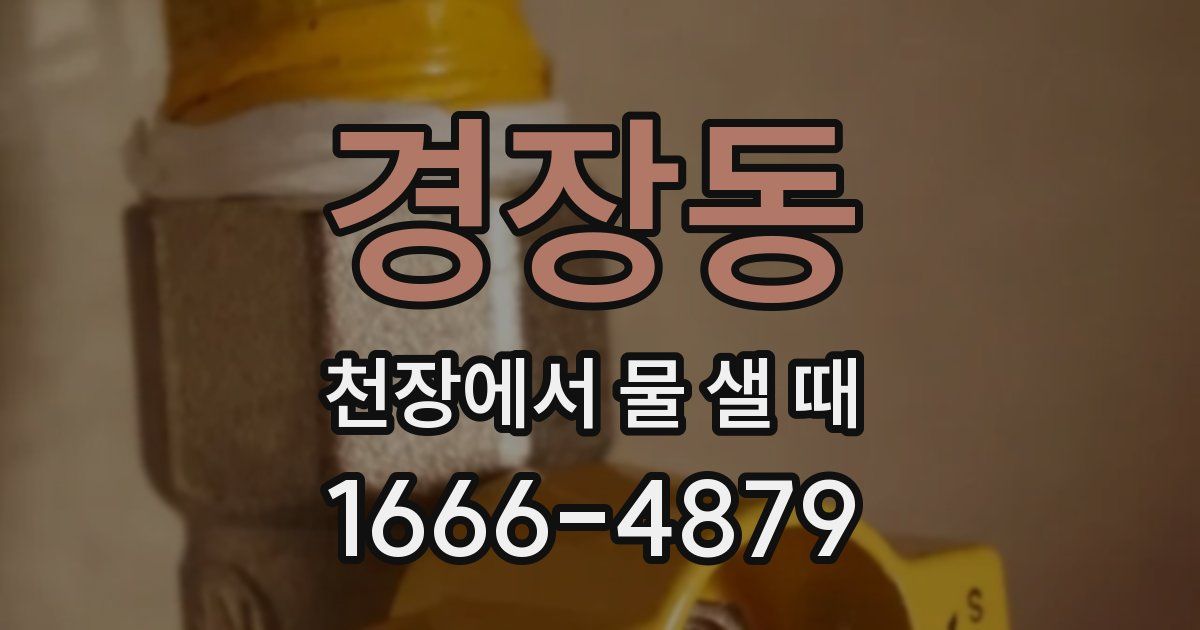 경장동 천장에서 물 샐 때
