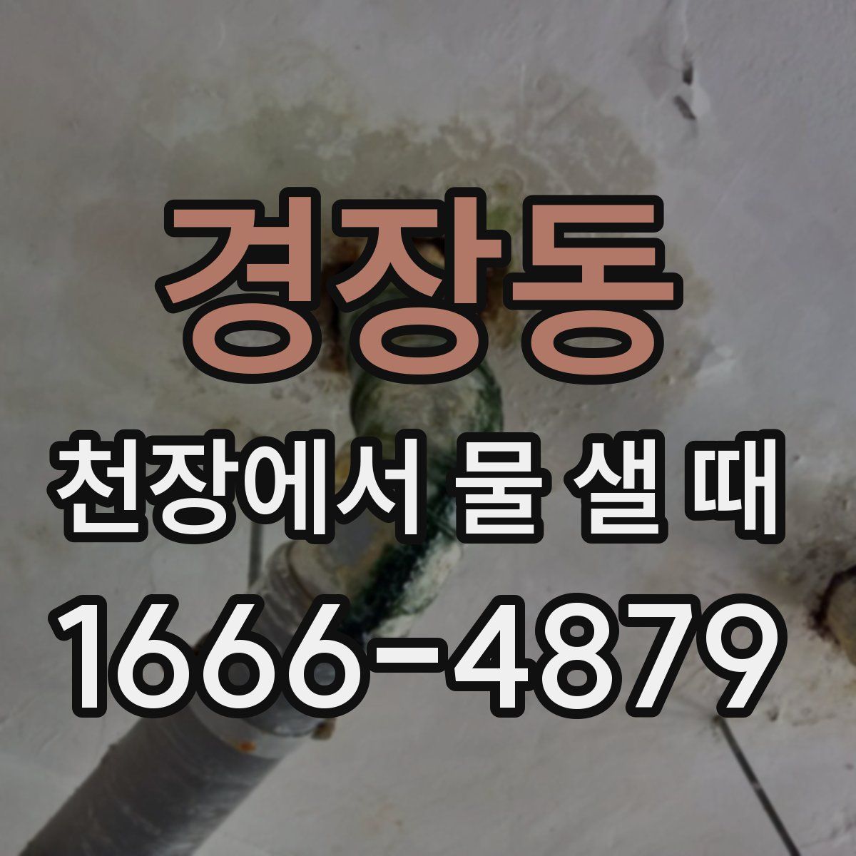 경장동 천장에서 물 샐 때