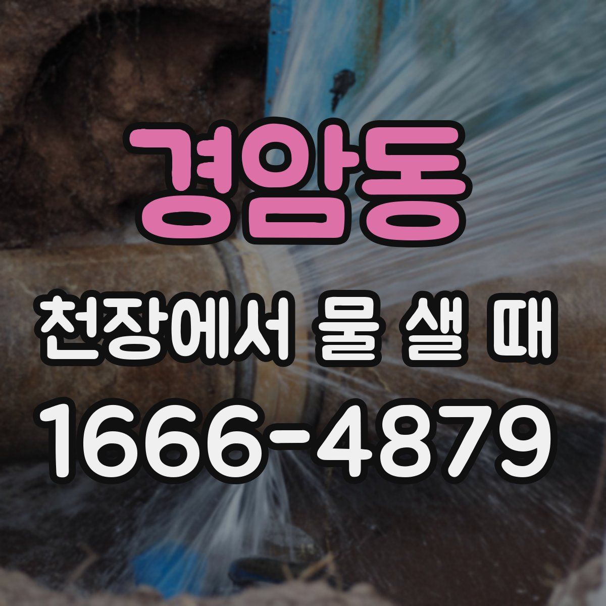 경암동 천장에서 물 샐 때