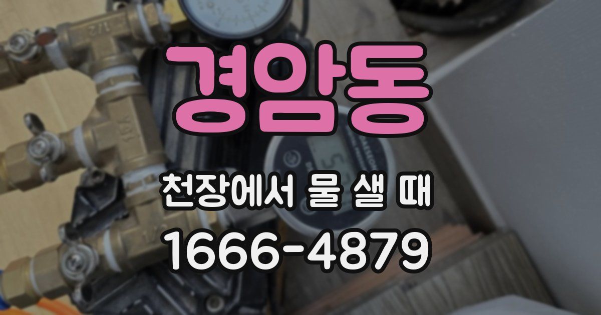 경암동 천장에서 물 샐 때