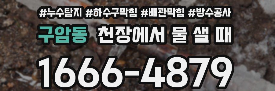 구암동 천장에서 물 샐 때