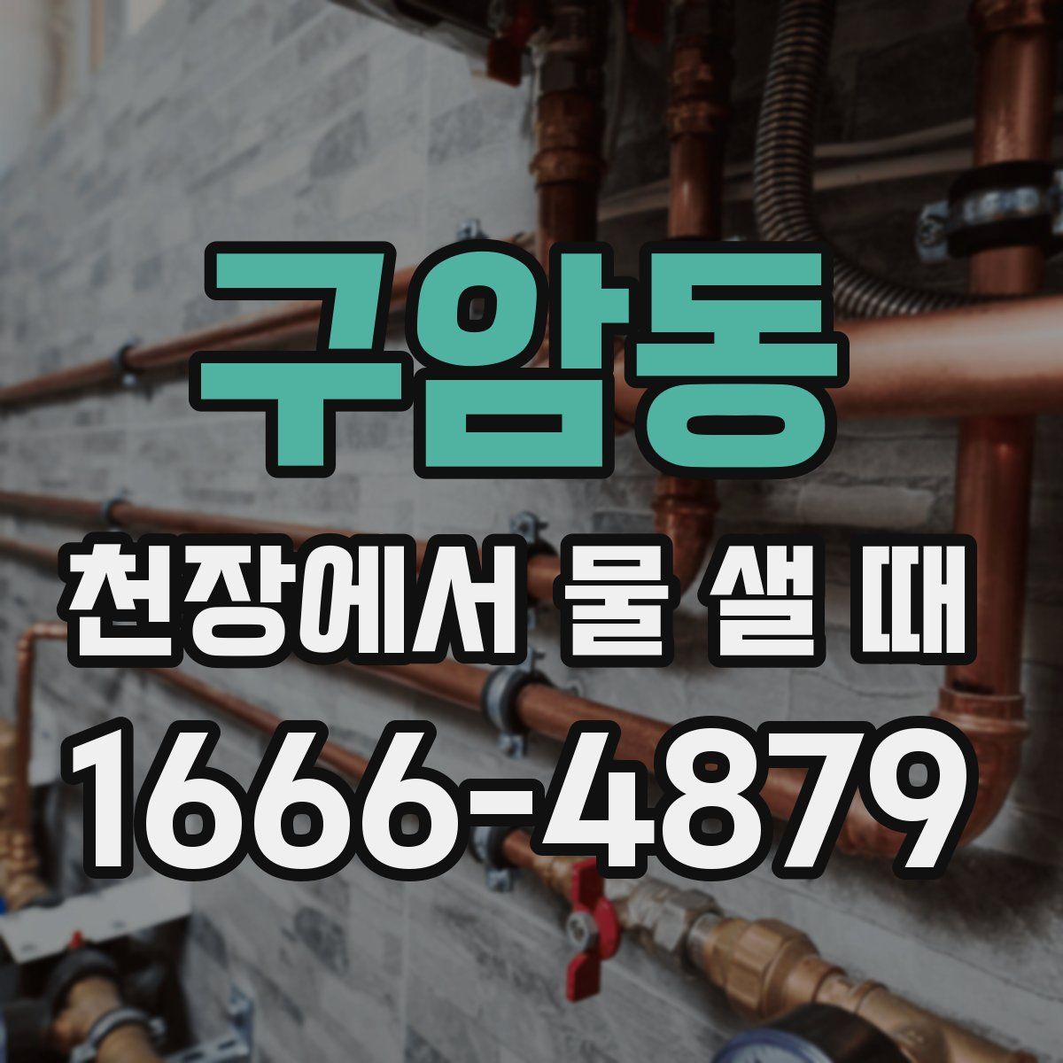 구암동 천장에서 물 샐 때