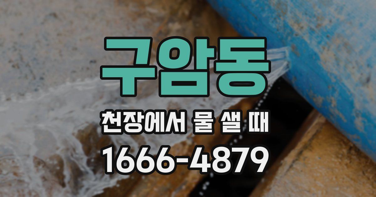 구암동 천장에서 물 샐 때