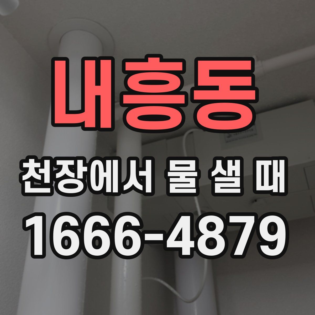 내흥동 천장에서 물 샐 때