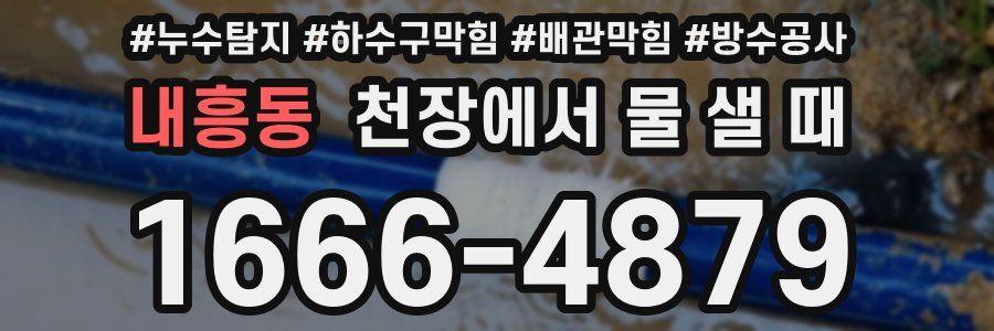 내흥동 천장에서 물 샐 때