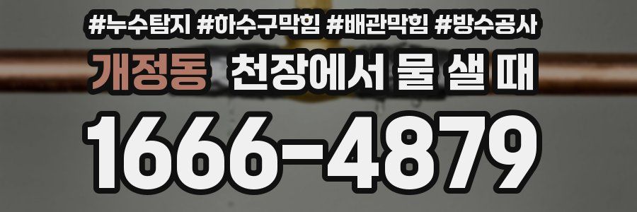 개정동 천장에서 물 샐 때