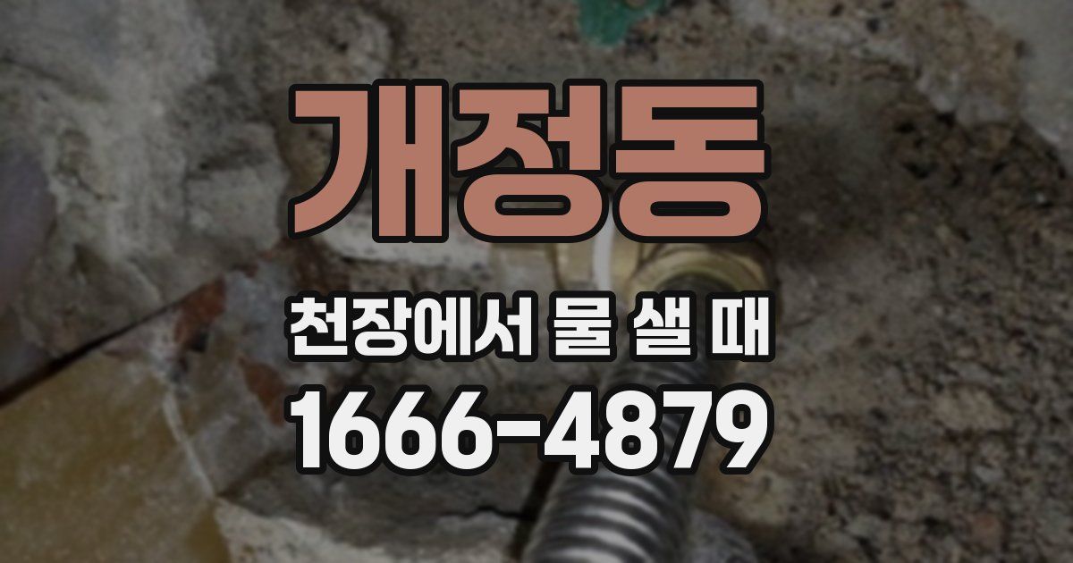 개정동 천장에서 물 샐 때