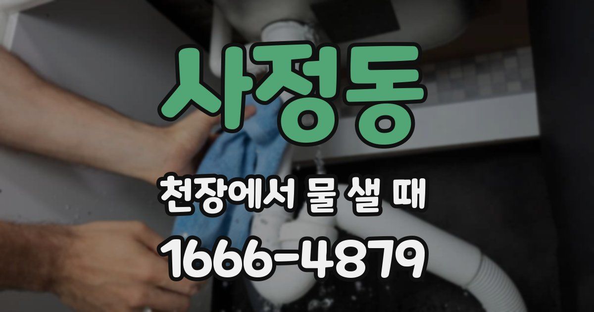 사정동 천장에서 물 샐 때