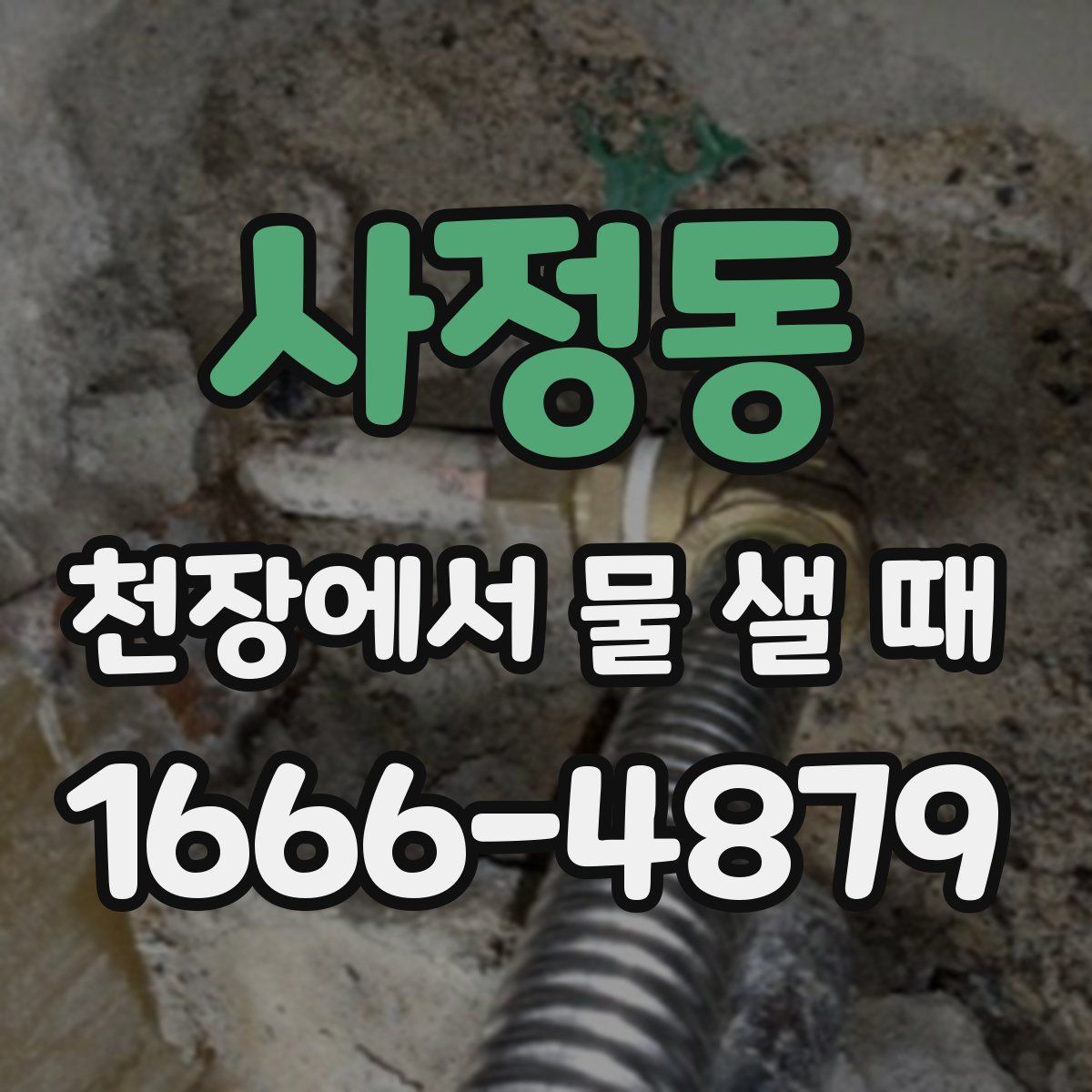 사정동 천장에서 물 샐 때
