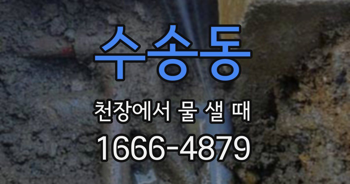 수송동 천장에서 물 샐 때