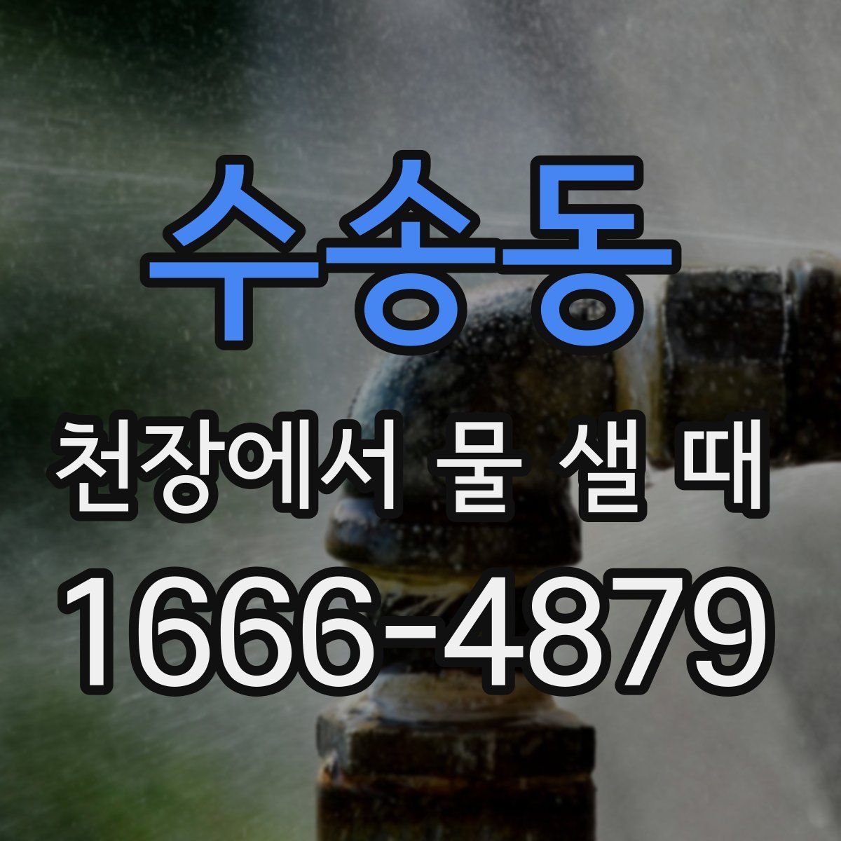 수송동 천장에서 물 샐 때