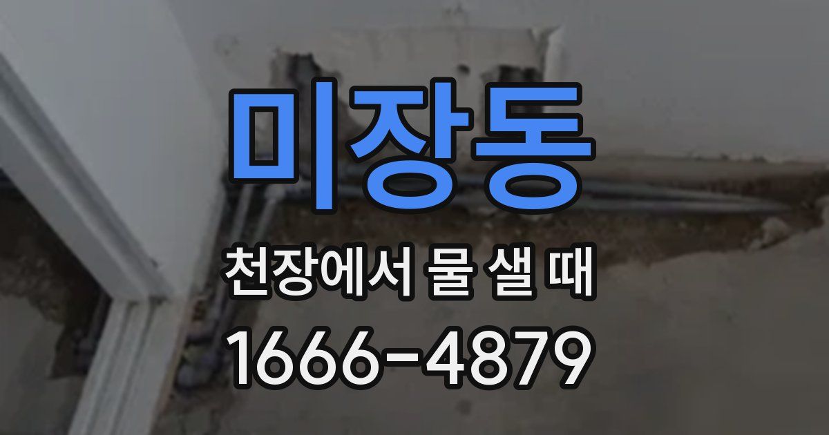 미장동 천장에서 물 샐 때