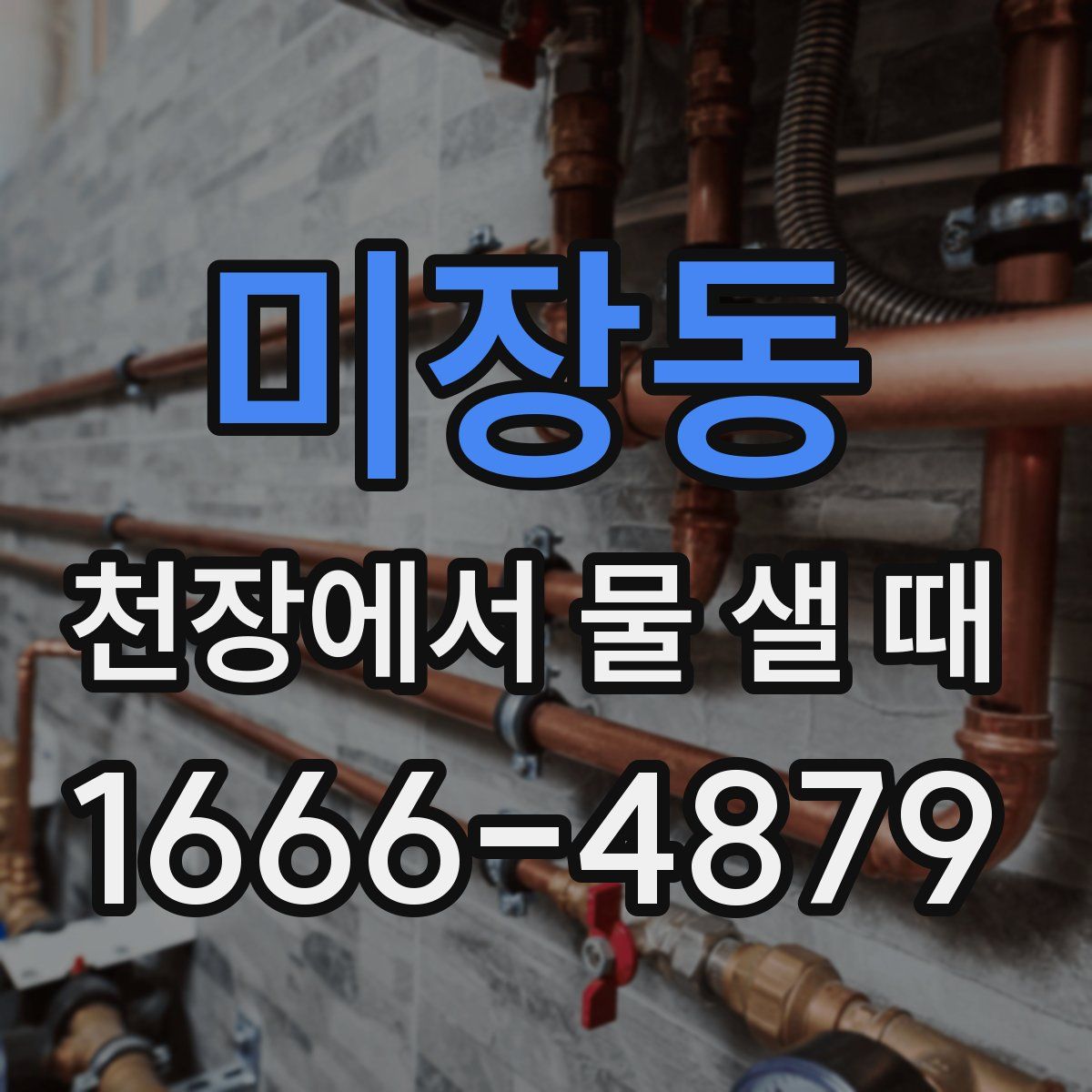 미장동 천장에서 물 샐 때