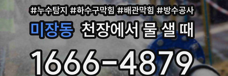 미장동 천장에서 물 샐 때