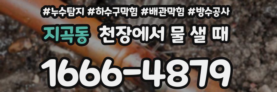 지곡동 천장에서 물 샐 때