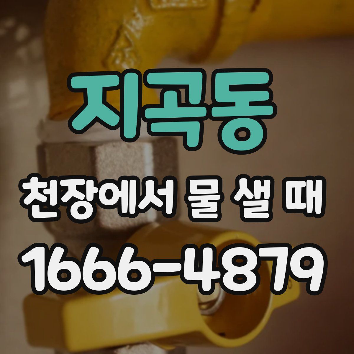 지곡동 천장에서 물 샐 때