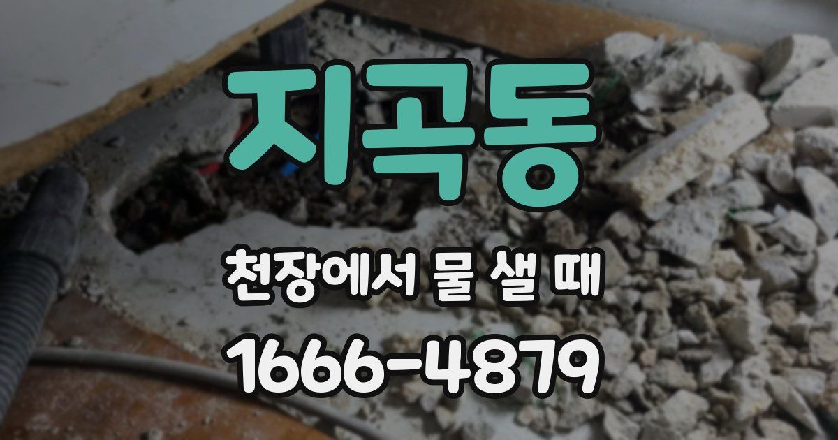 지곡동 천장에서 물 샐 때