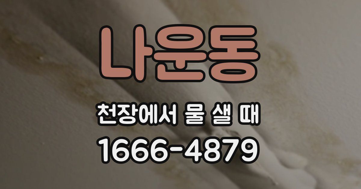 나운동 천장에서 물 샐 때