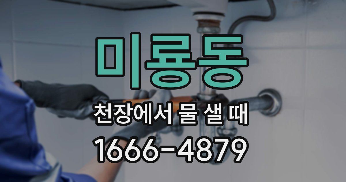 미룡동 천장에서 물 샐 때