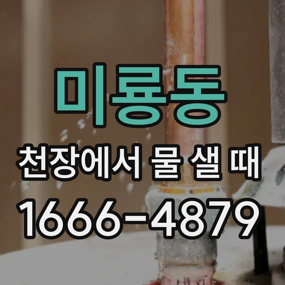 미룡동 천장에서 물 샐 때