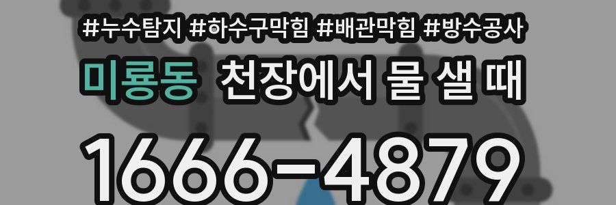 미룡동 천장에서 물 샐 때