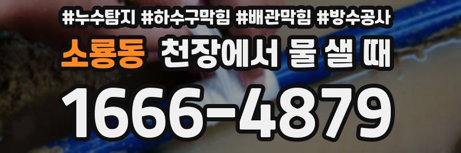 소룡동 천장에서 물 샐 때