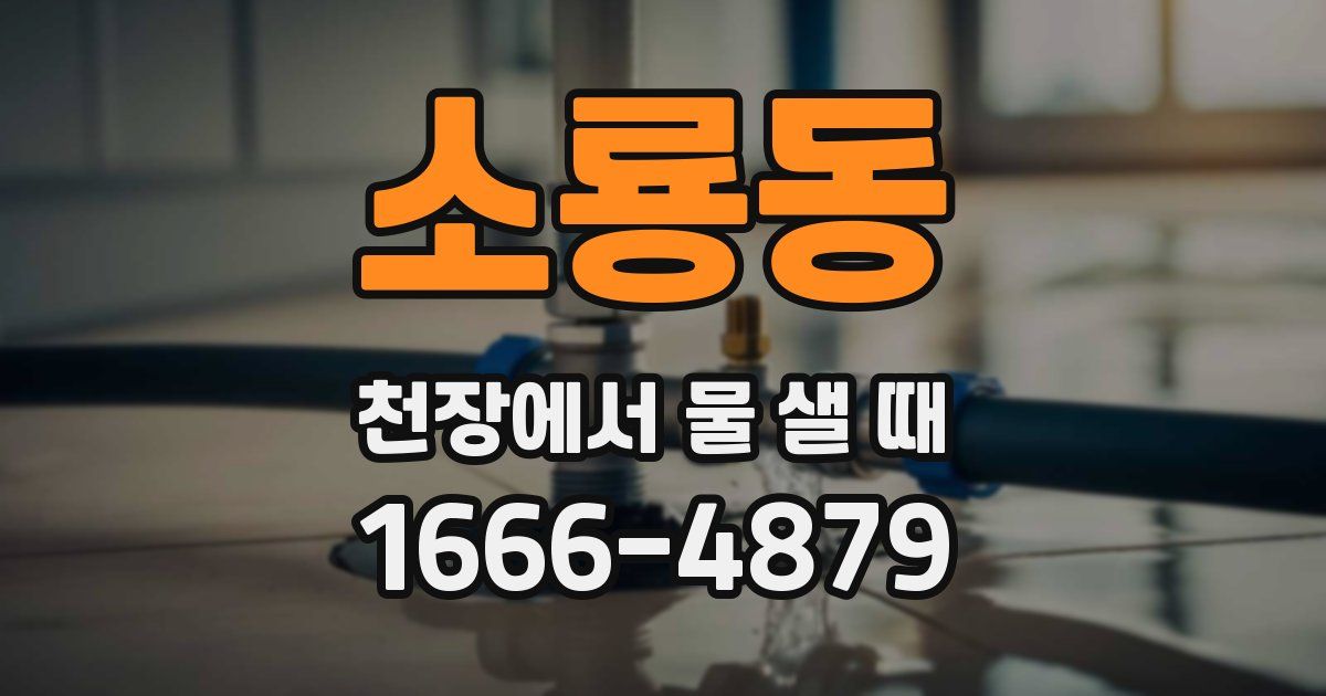 소룡동 천장에서 물 샐 때